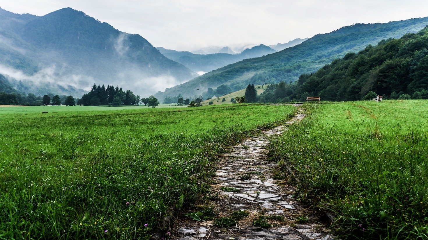 Walking Through Shadows With Inner Grace